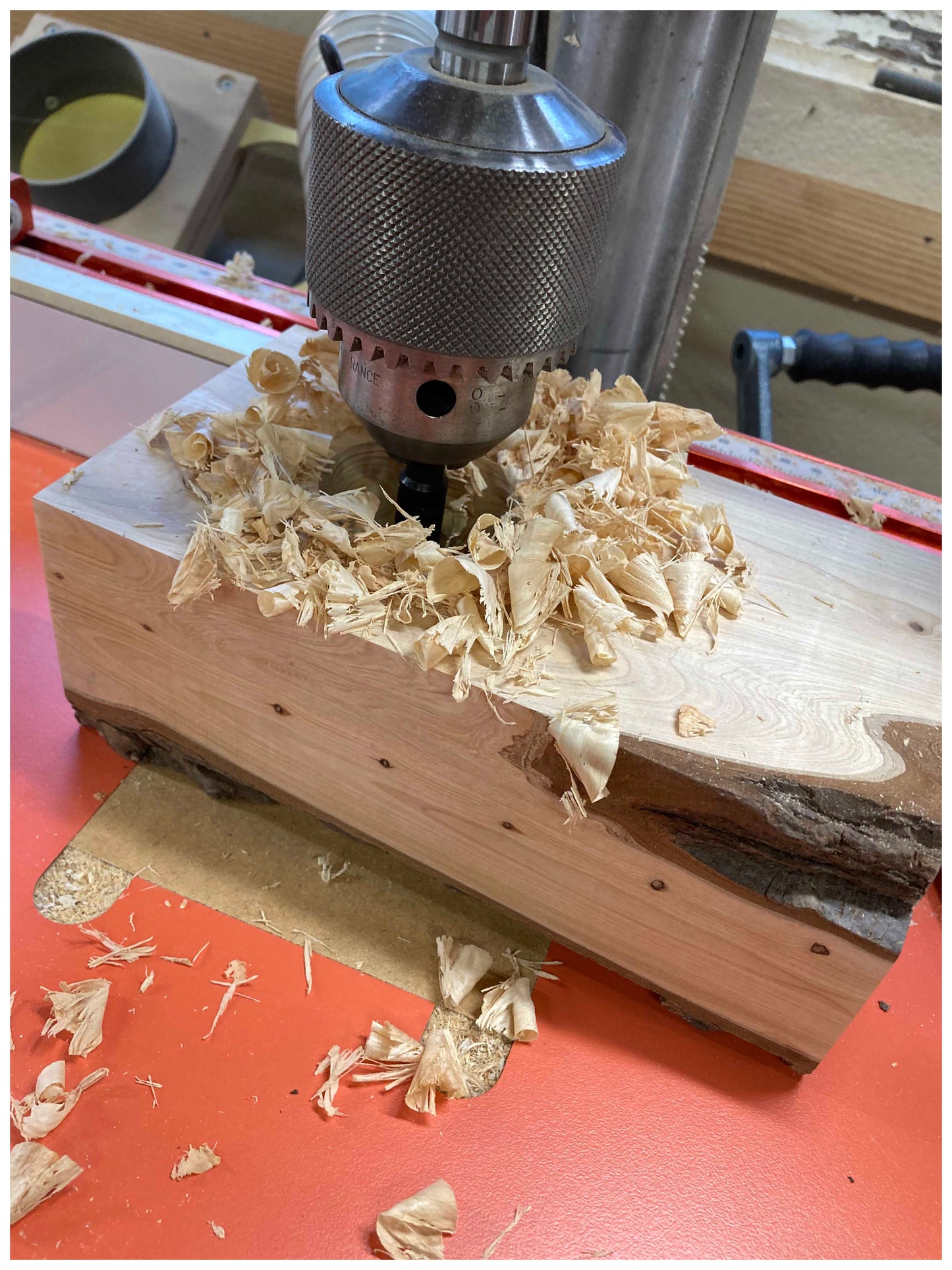 Lampe en thuya massif  – vintage et design