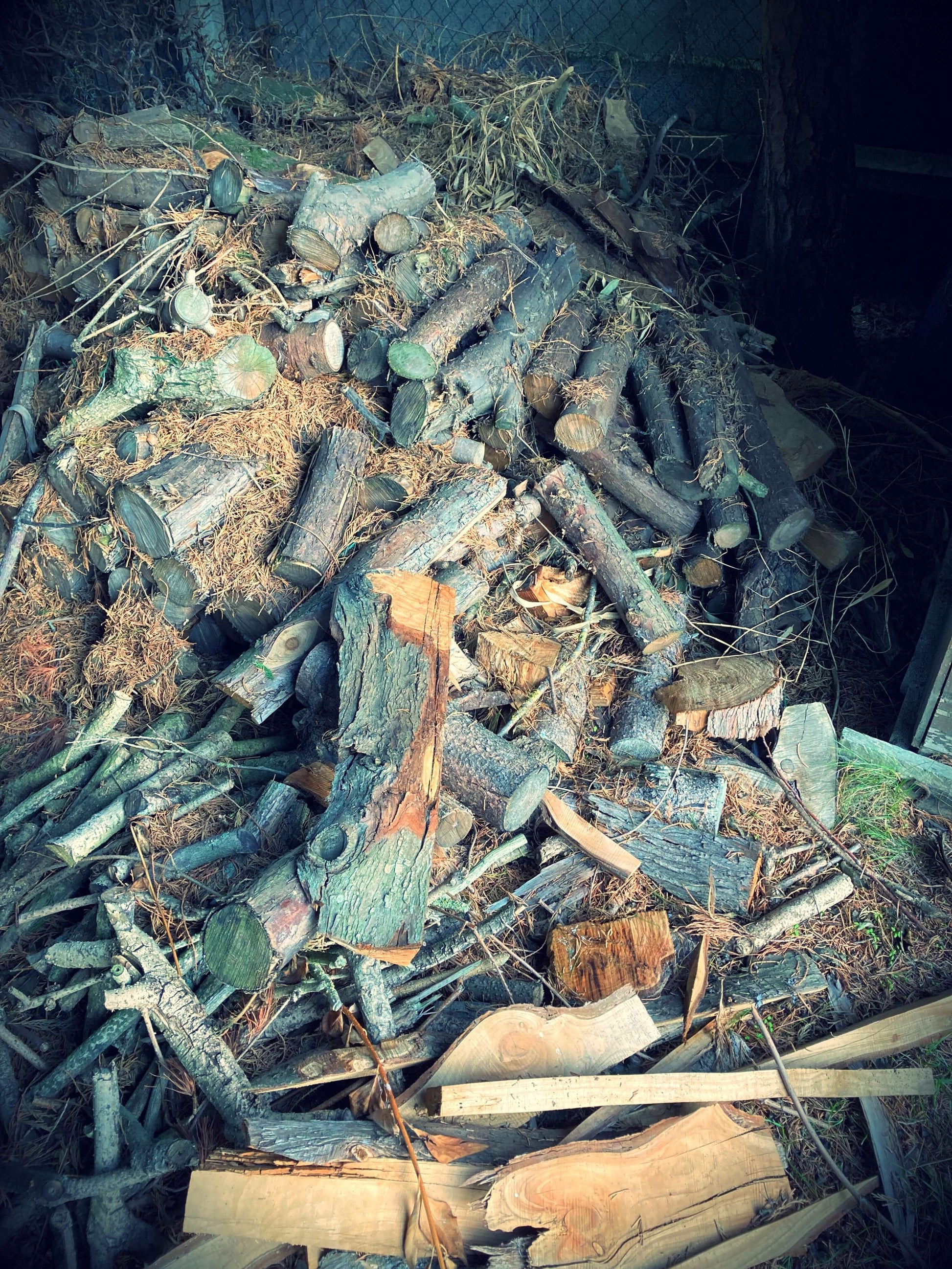 Objet de décoration en bois de Thuya massif