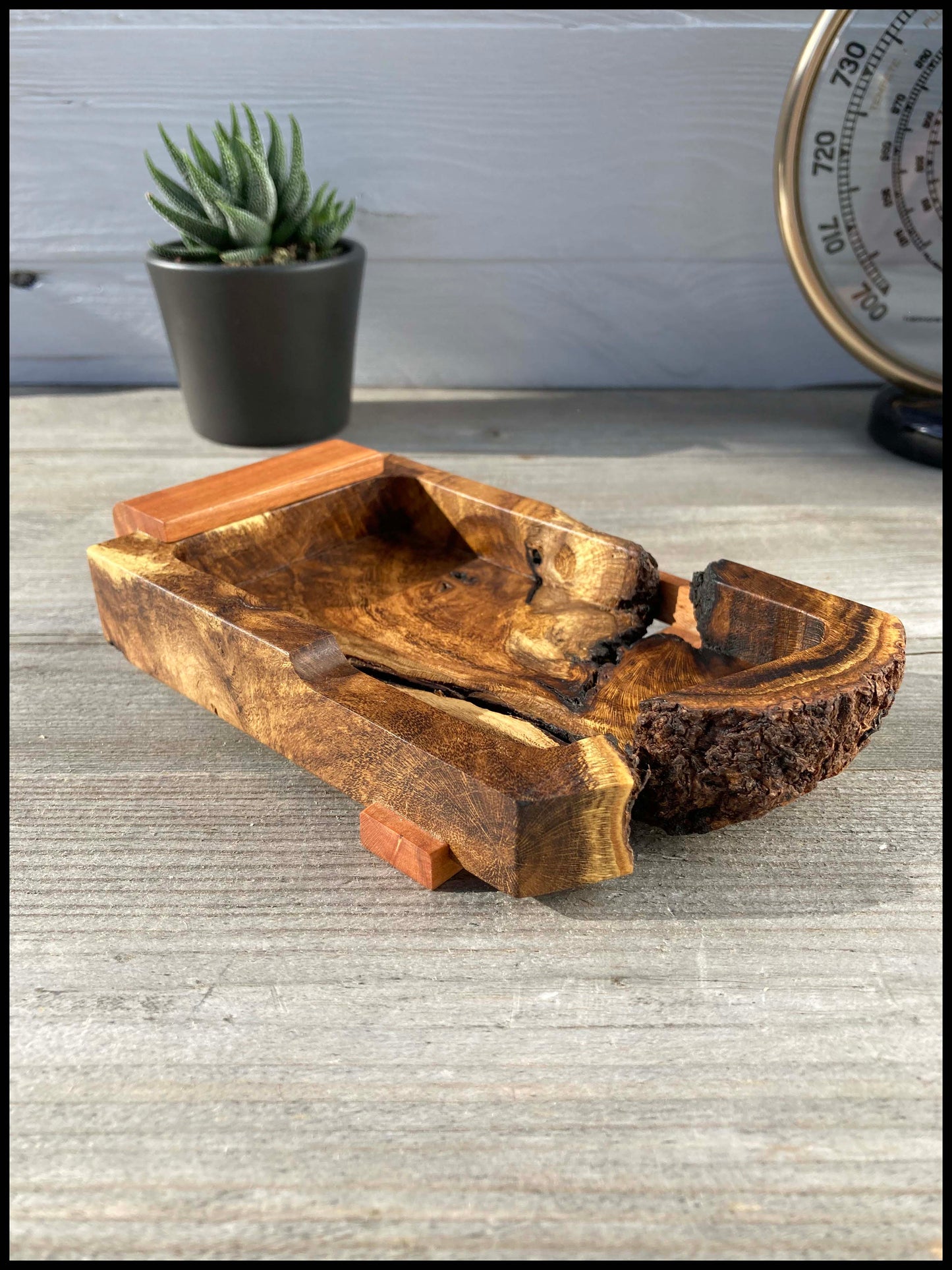 Pocket tray made of laburnum root and apple tree: The rooted Cytipoche