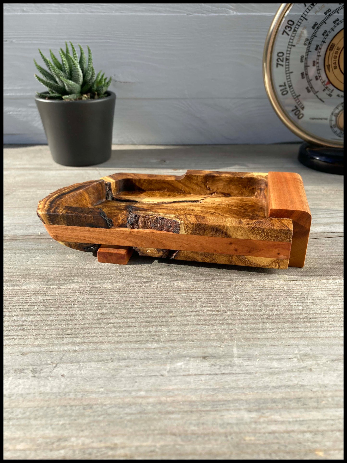 Pocket tray made of laburnum root and apple tree: The rooted Cytipoche